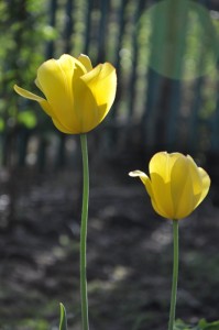 urok fotografii