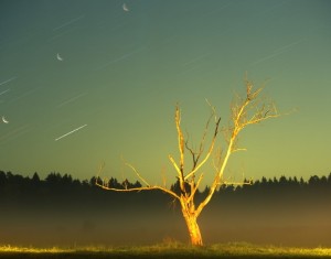 uroki fotografii online Ночная фотосъемка