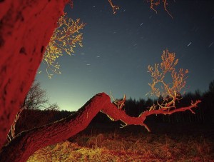 uroki fotografii уроки фотографии